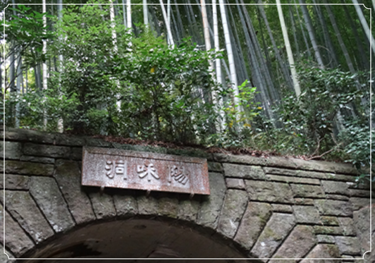 陽和洞と竹林